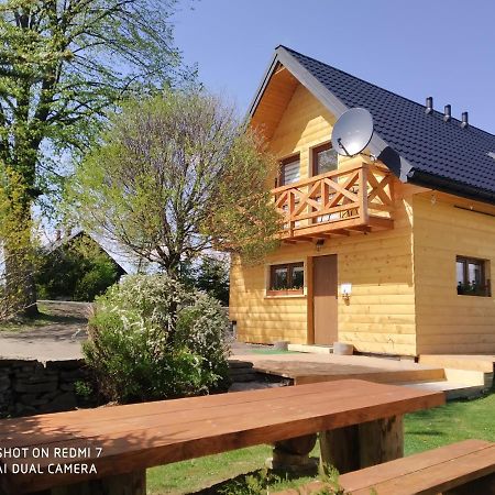 Apartamenty Pod Lipa Lutowiska Exterior photo