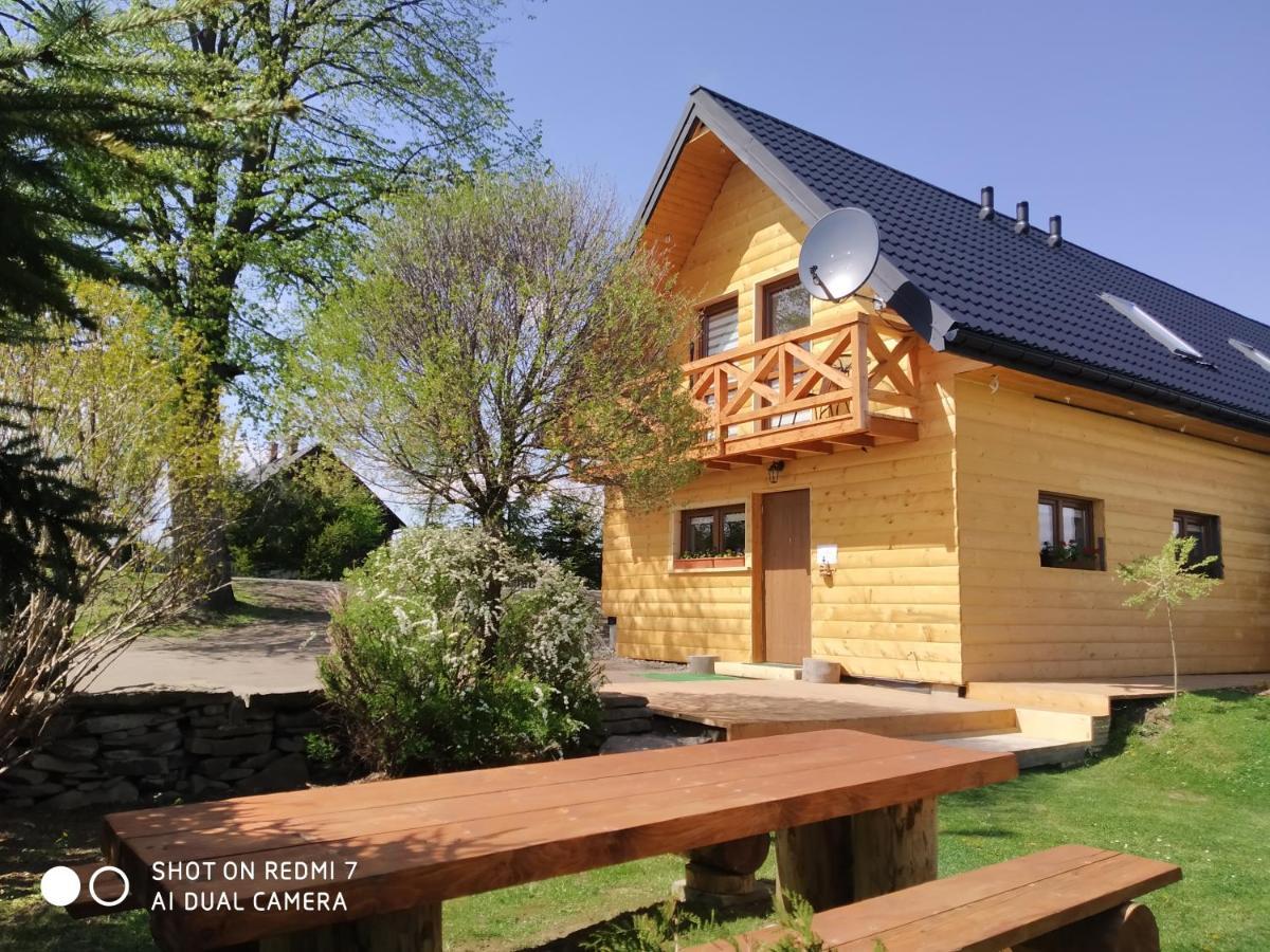 Apartamenty Pod Lipa Lutowiska Exterior photo
